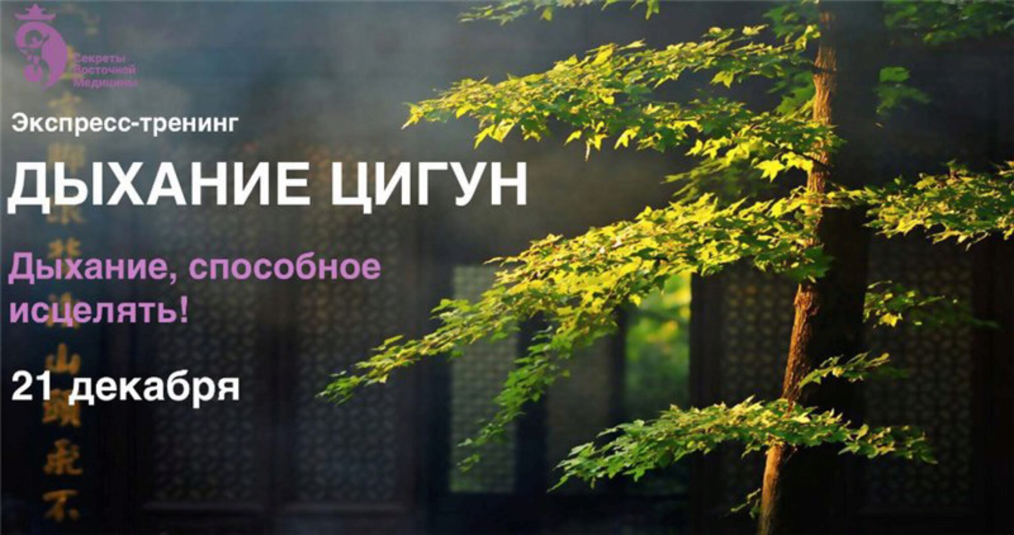 Дыхание цигун (Владимир Осипoв)