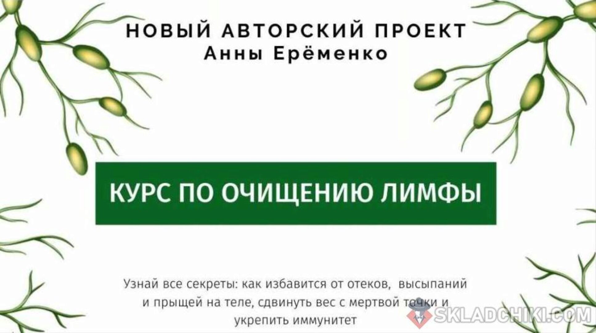 [wf.school] Курс по очищению лимфы. Пакет «Лифма-Standart» (Анна Ерёменко)