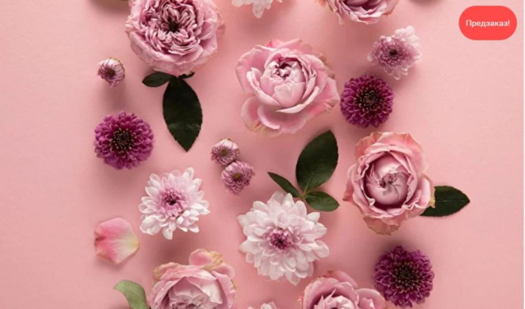 Методическое пособие | КОК и женское здоровье (Валентина Скороход)