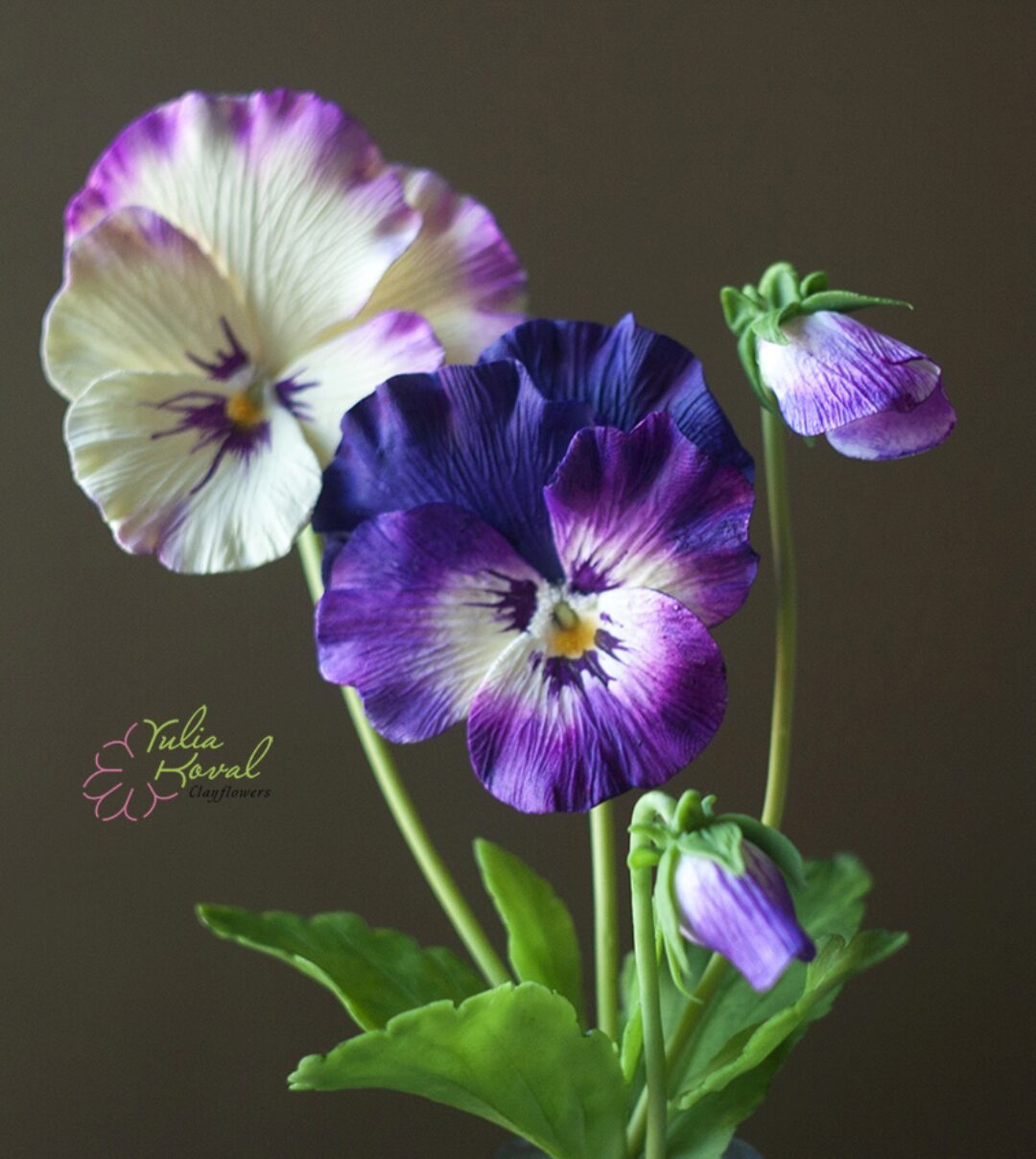 Анютины глазки (Юлия Коваль)