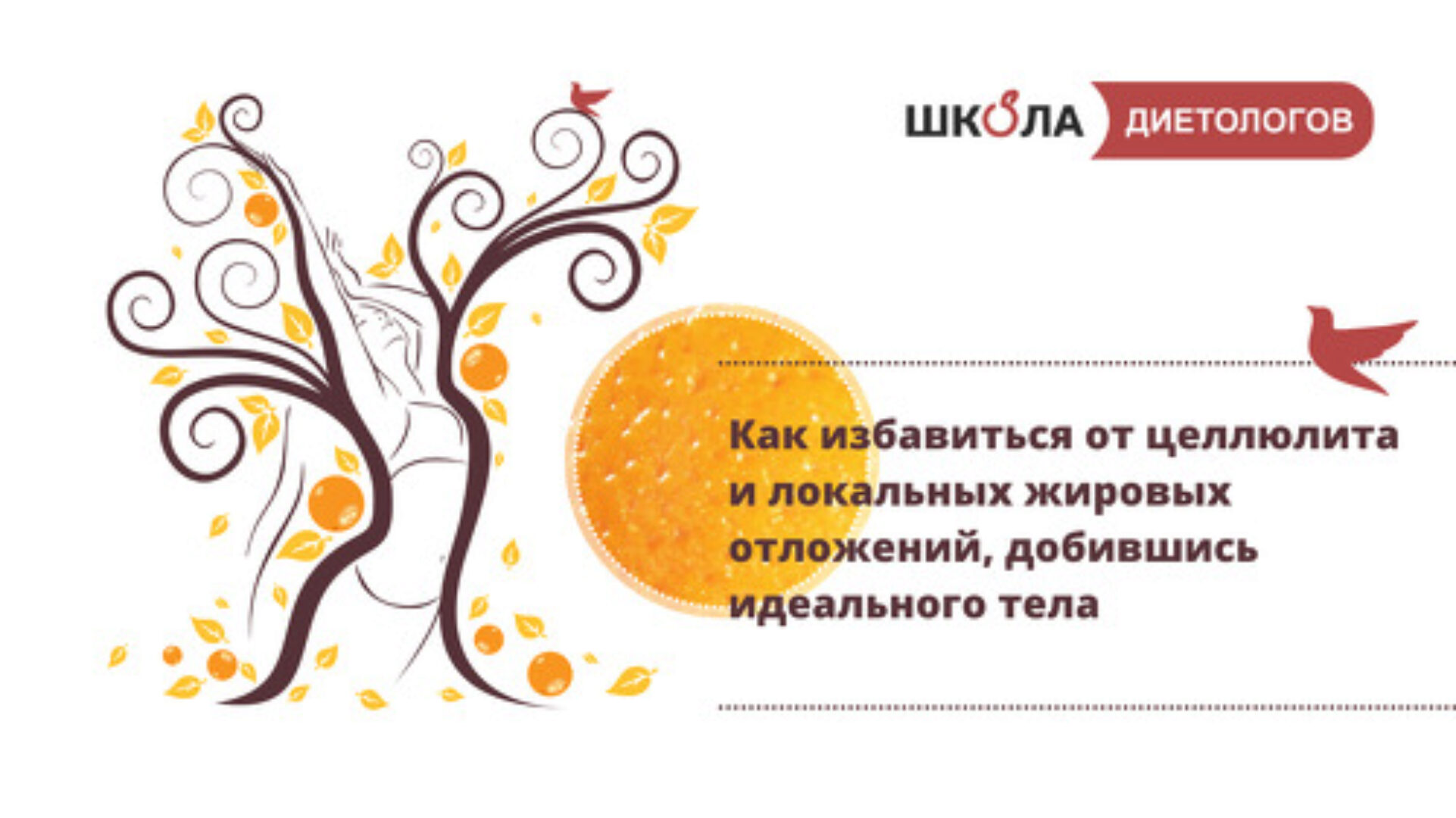 [Школа диетологов] Как избавиться от целлюлита и  жировых отложений, добившись идеального тела (Ксения Пустовая, Екатерина Каченкова)