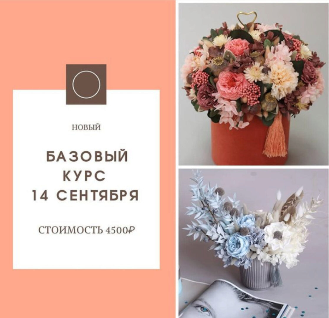 Работа с сухоцветами и стабилизированными цветами. Новый базовый курс (Екатерина Терещенко)