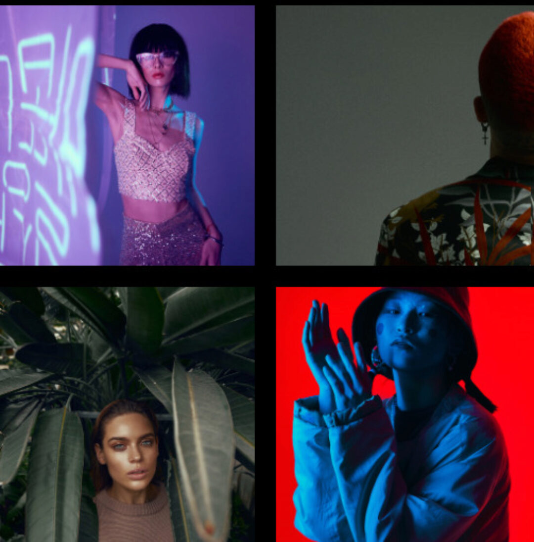 Цветотатство (Никита Журнаков)