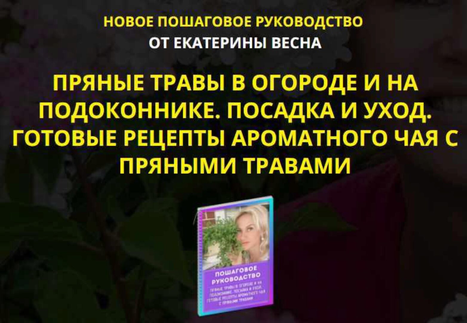 Пряные травы в огороде и на подоконнике. Посадка и уход. Готовые рецепты ароматного чая с пряными травами. Premium комплект (Екатерина Весна)