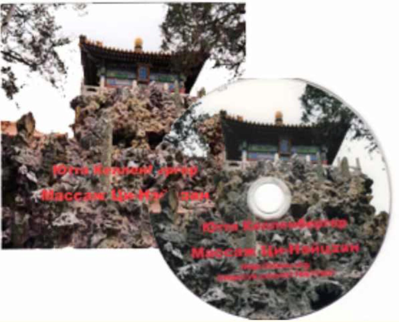 Ци-Нэйцзан массаж внутренних органов (Ютта Келленбергер)