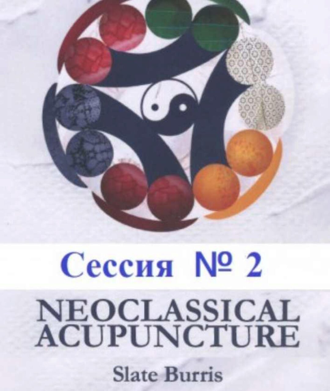 Неоклассическая Акупунктура. Сессии №2 (группа 5) (Слейт Буррис)