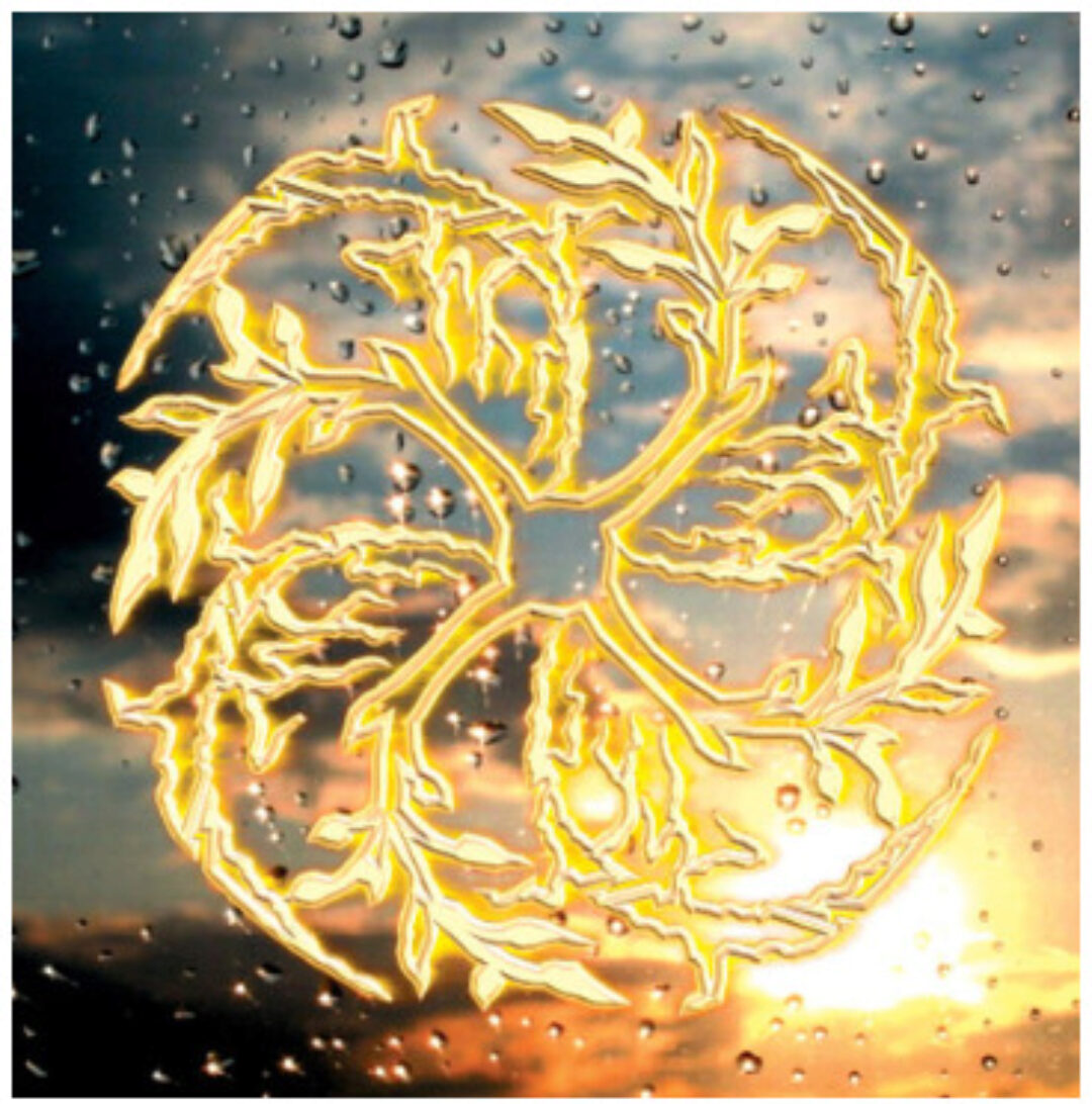 Волшебные дни солнцестояния (Дарина)