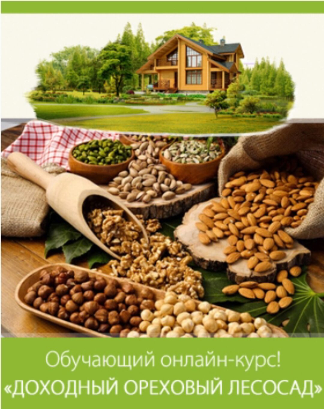 [Лесосад] Доходный ореховый лесосад (Олег Перетятько)