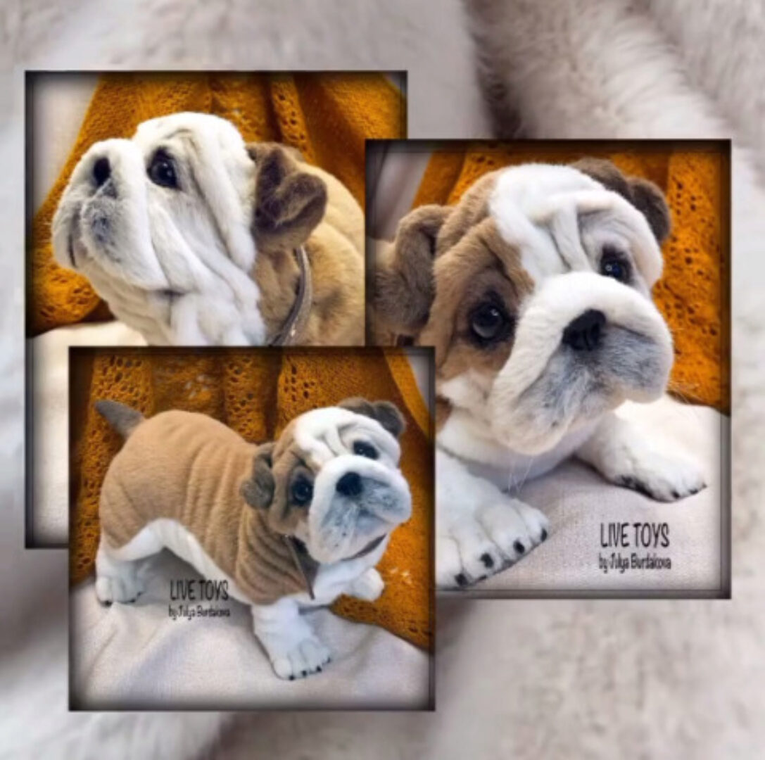 [Игрушки] Мастер-класс Раскрываем тему складок (Юлия Бурдакова)