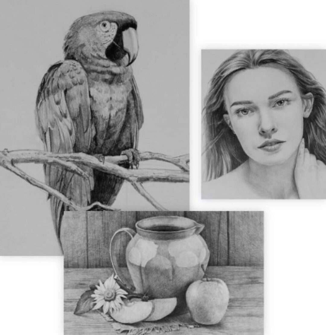 Карандаш с нуля. Пакет без обратной связи (Станислав Федоров)