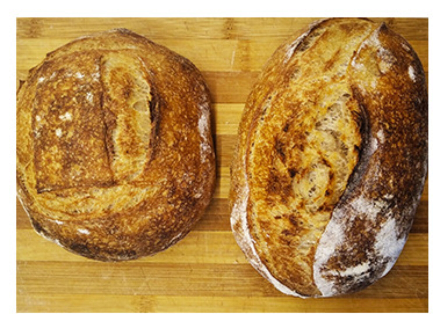 Курс Пеку на Левито Мадре (Лена Сементина)