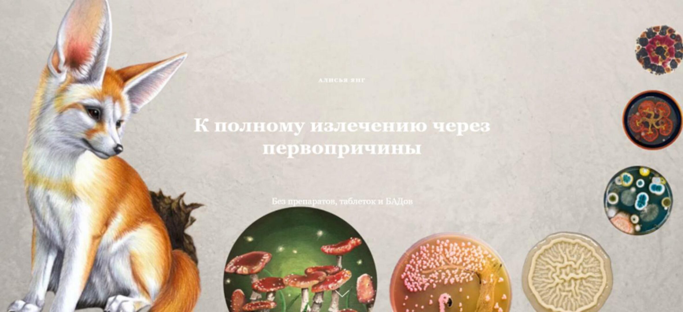 К полному выздоровлению через первопричины (Алисья Янг)