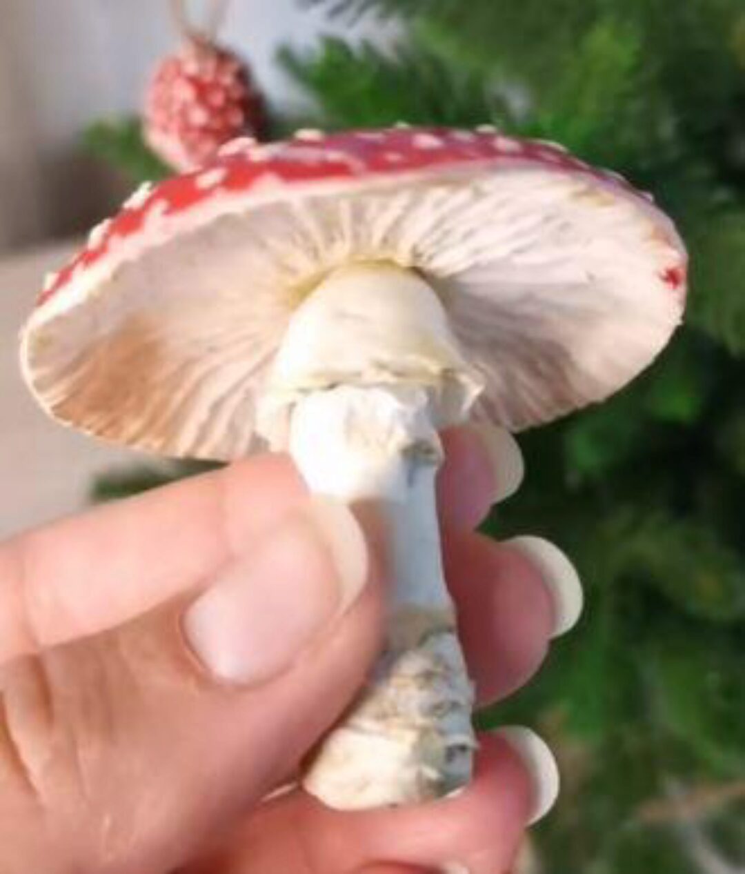 Мухомор из бумаги (Алеся Табачник)