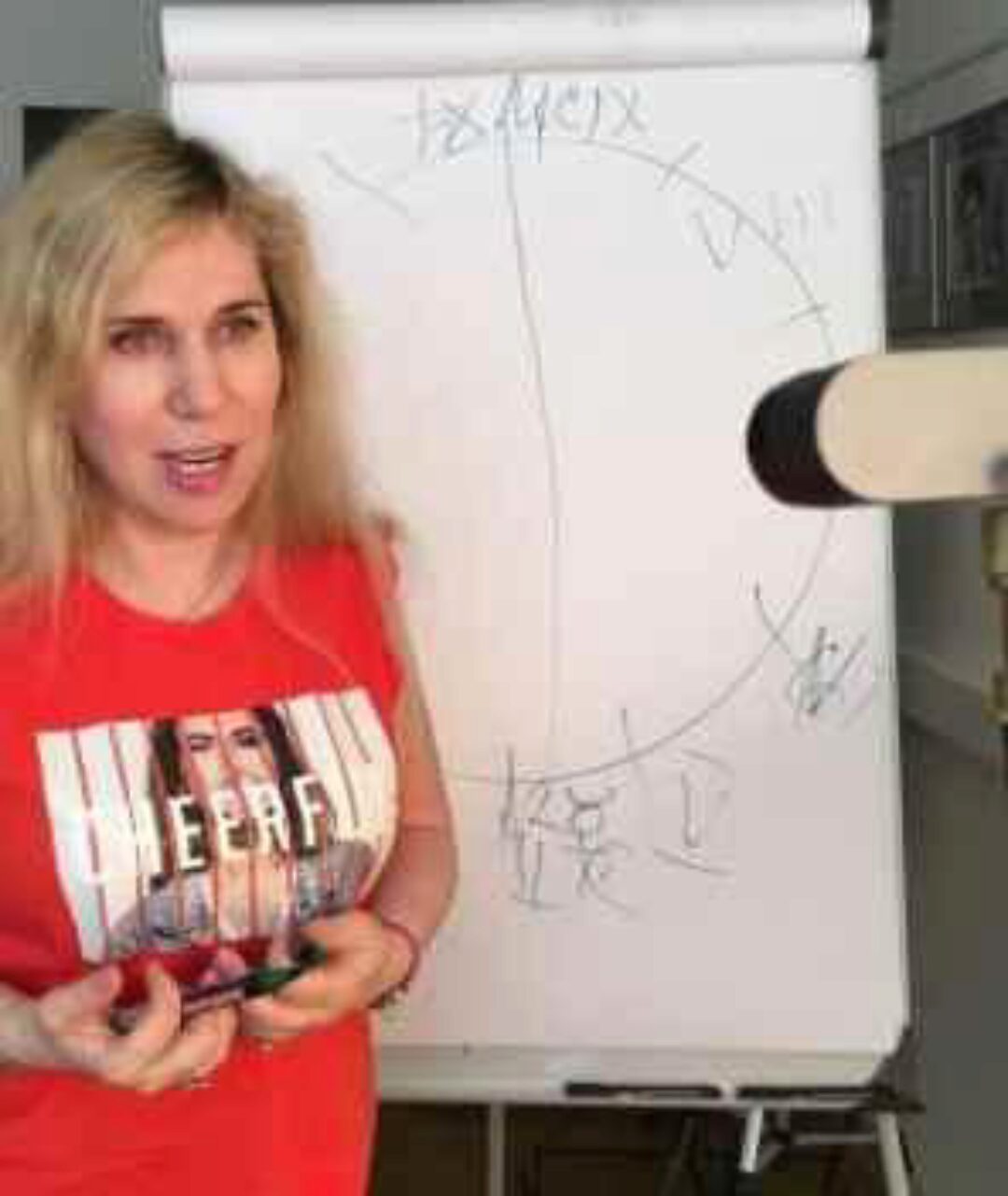 Вебинар №55. Карта встречи (Светлана Драган)