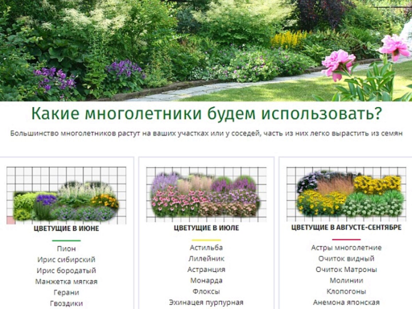 [Сад по-новому] Готовые планы цветников из многолетников, растущих на каждом участке (Наталья Мягкова)