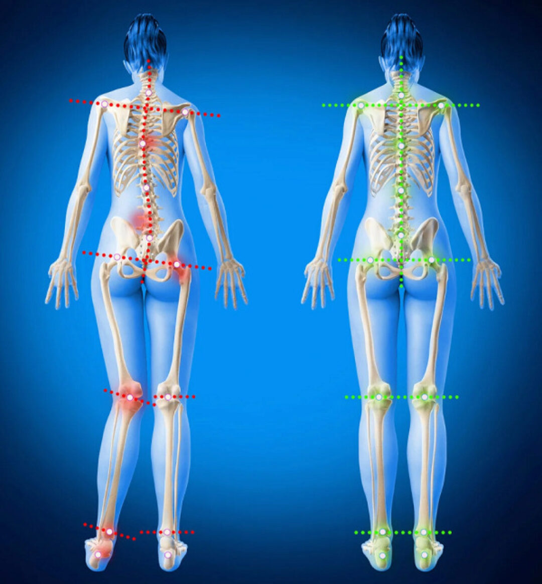 Асимметрия 2022. Тариф Доступ к курсу 2 месяца (Ольга Дробышева)