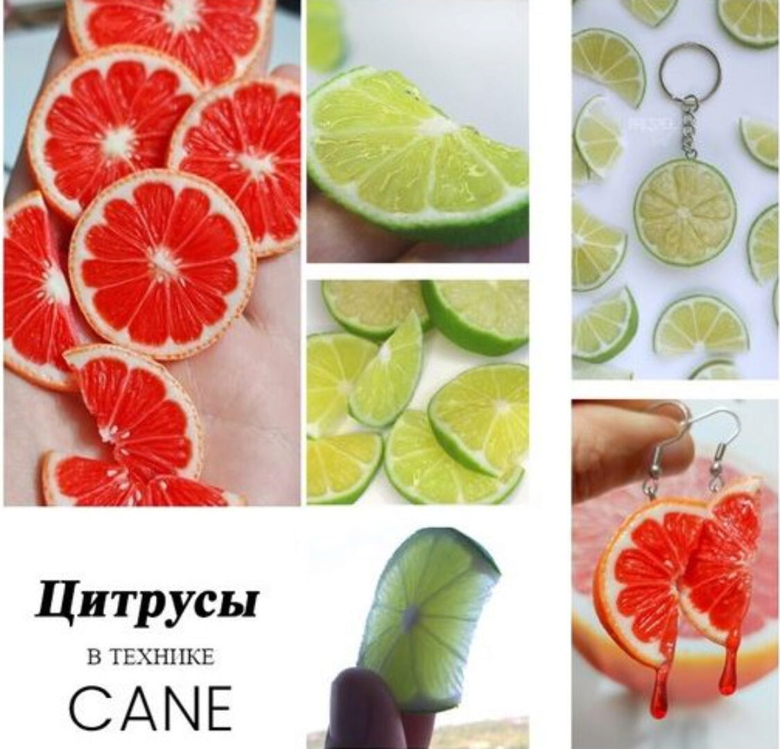 [Insane sanity] Мастер-класс по цитрусам (Эльвина Брестель)