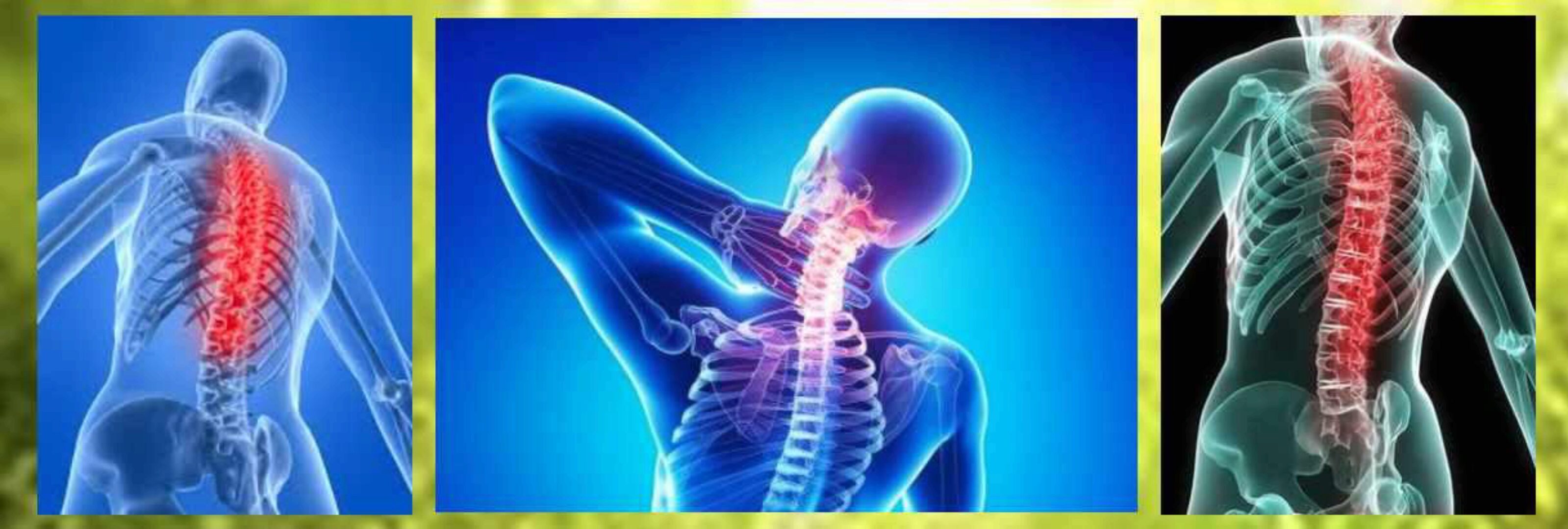 Исцеление позвоночника с помощью Су Джок (Ангелина Пасхалиди)