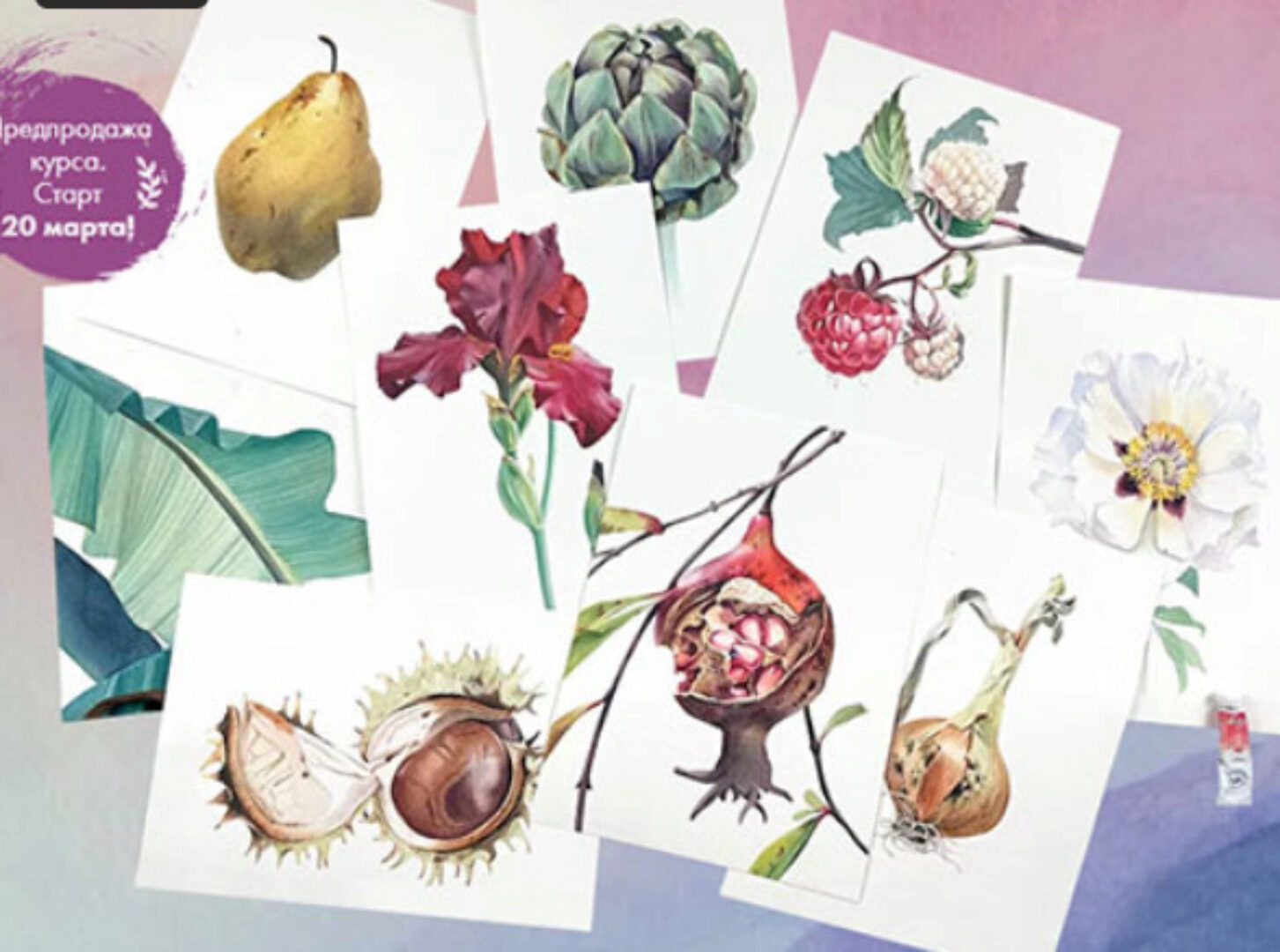 [Художник Online] Ботаника акварелью 2.0 (Дарья Куцаева)