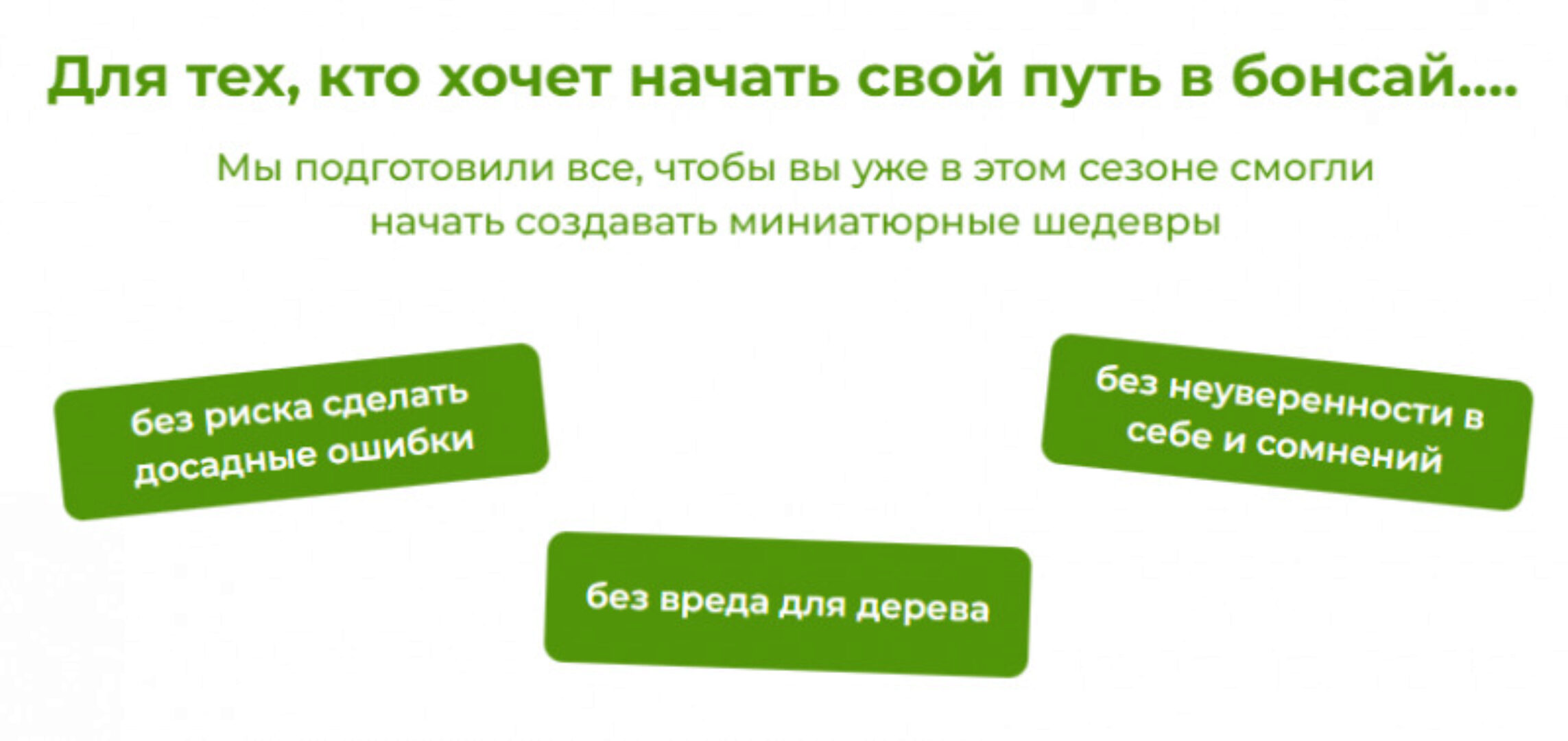 Бонсай своими руками. Пакет Будущий мастер (Андрей Дарусенков)