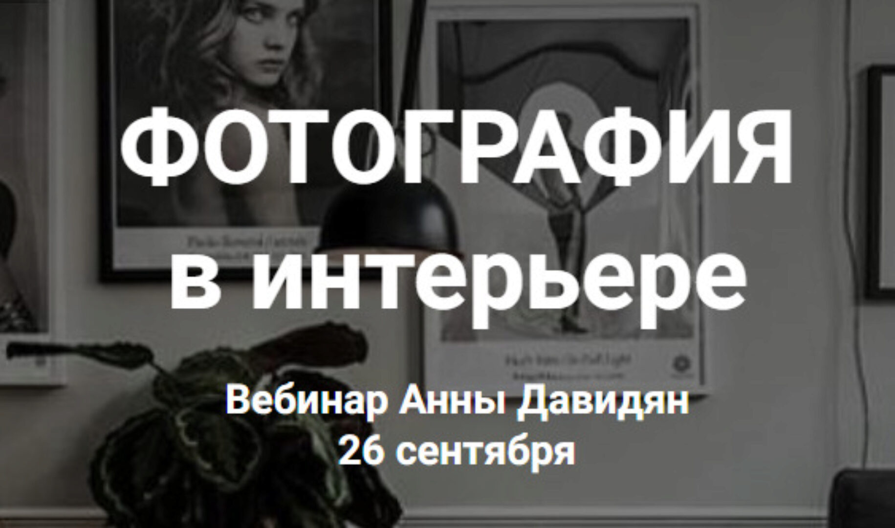 Фотография в интерьере (Анна Давидян)