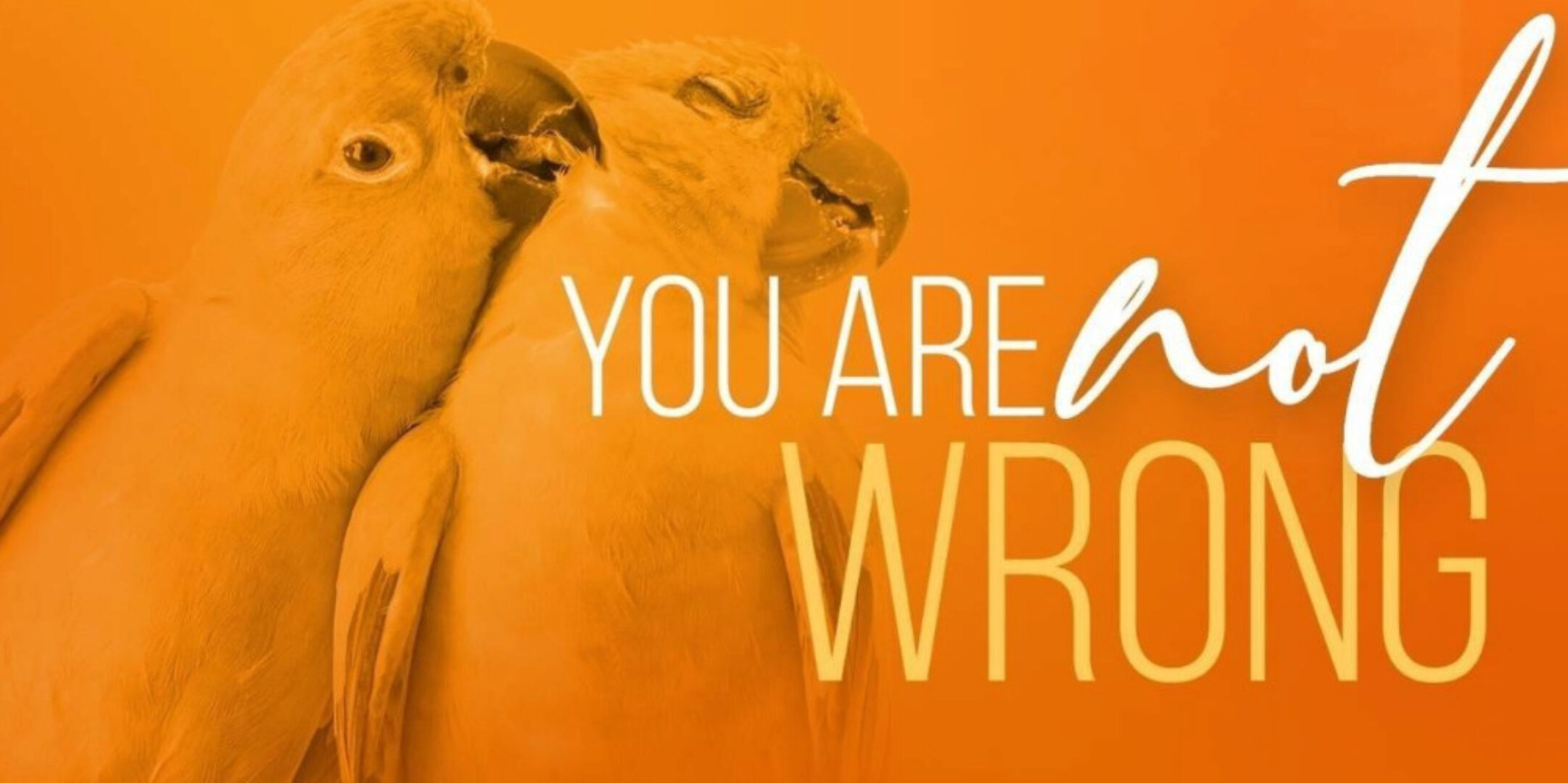 Ты справишься! - Ты не неправ, 2023 (Дейн Хир)