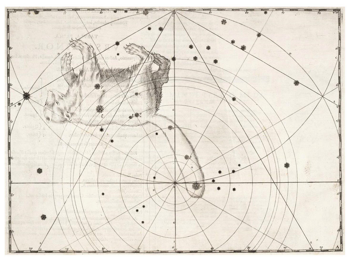 Неподвижные звезды (Антон Григорьев)