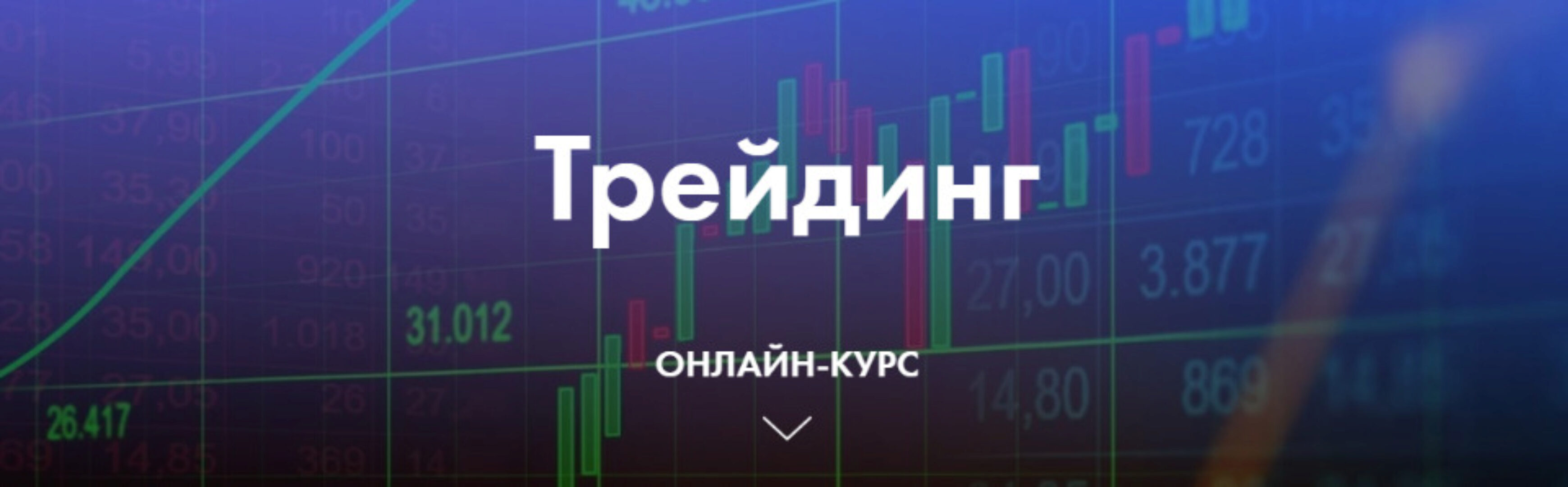 Трейдинг (Светлана Нагорная)