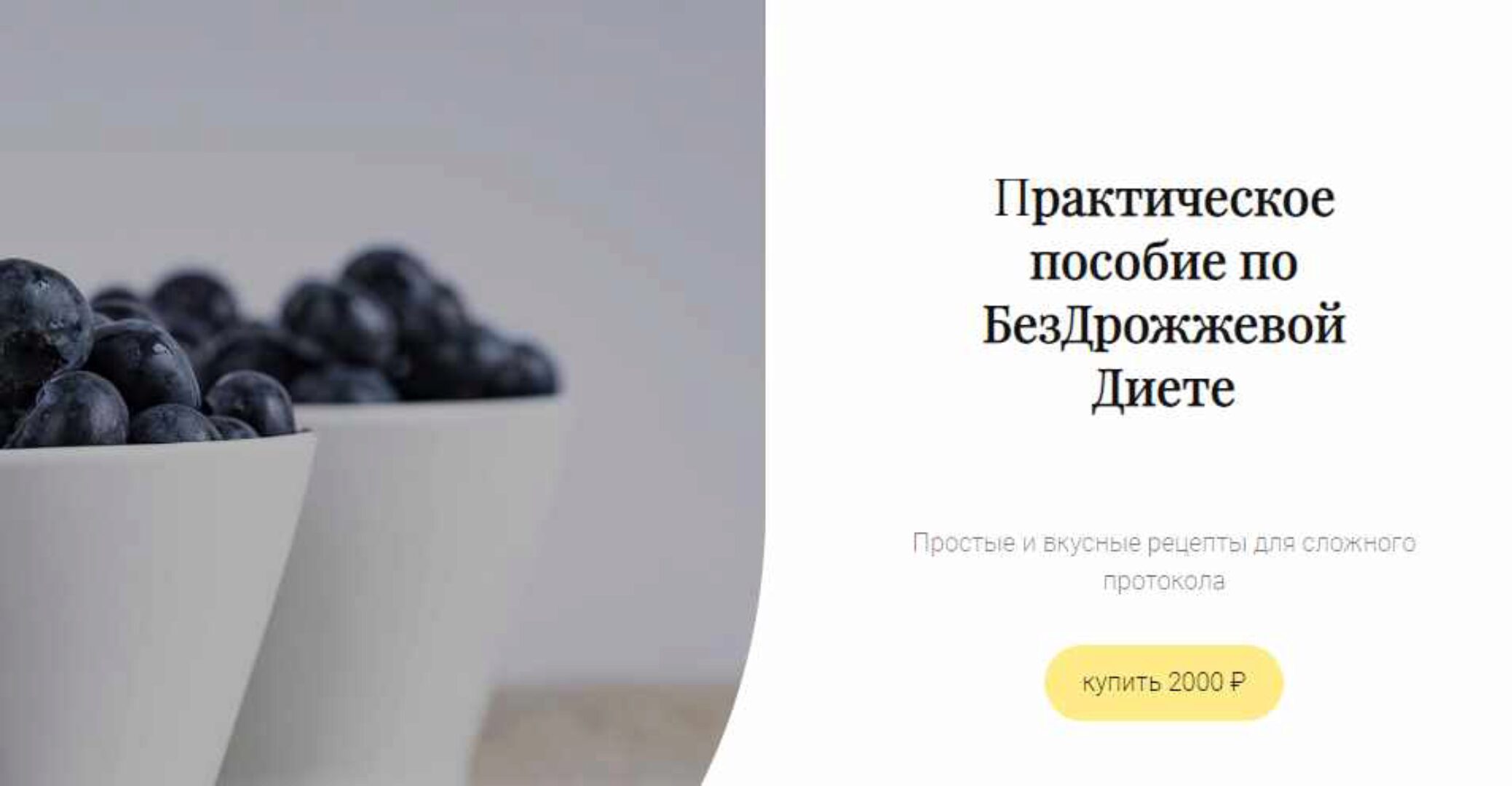 Практическое пособие по бездрожжевой диете (Аалия Маджид)