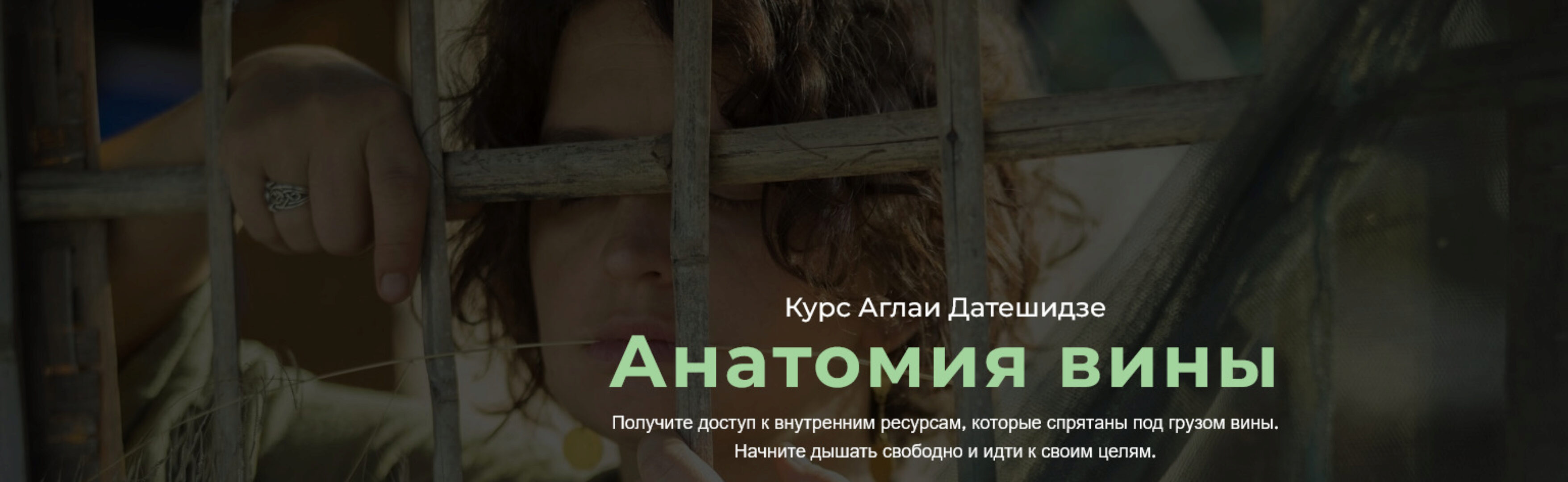 Анатомия вины (Аглая Датешидзе)