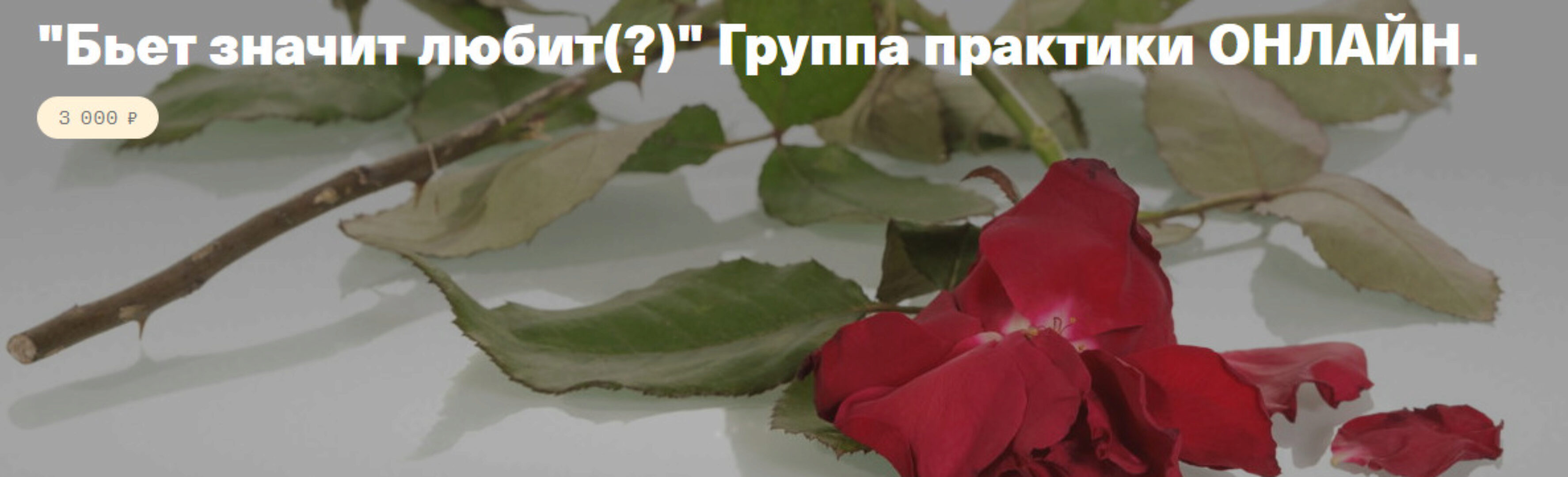 Бьет значит любит? (Елена Веселаго)