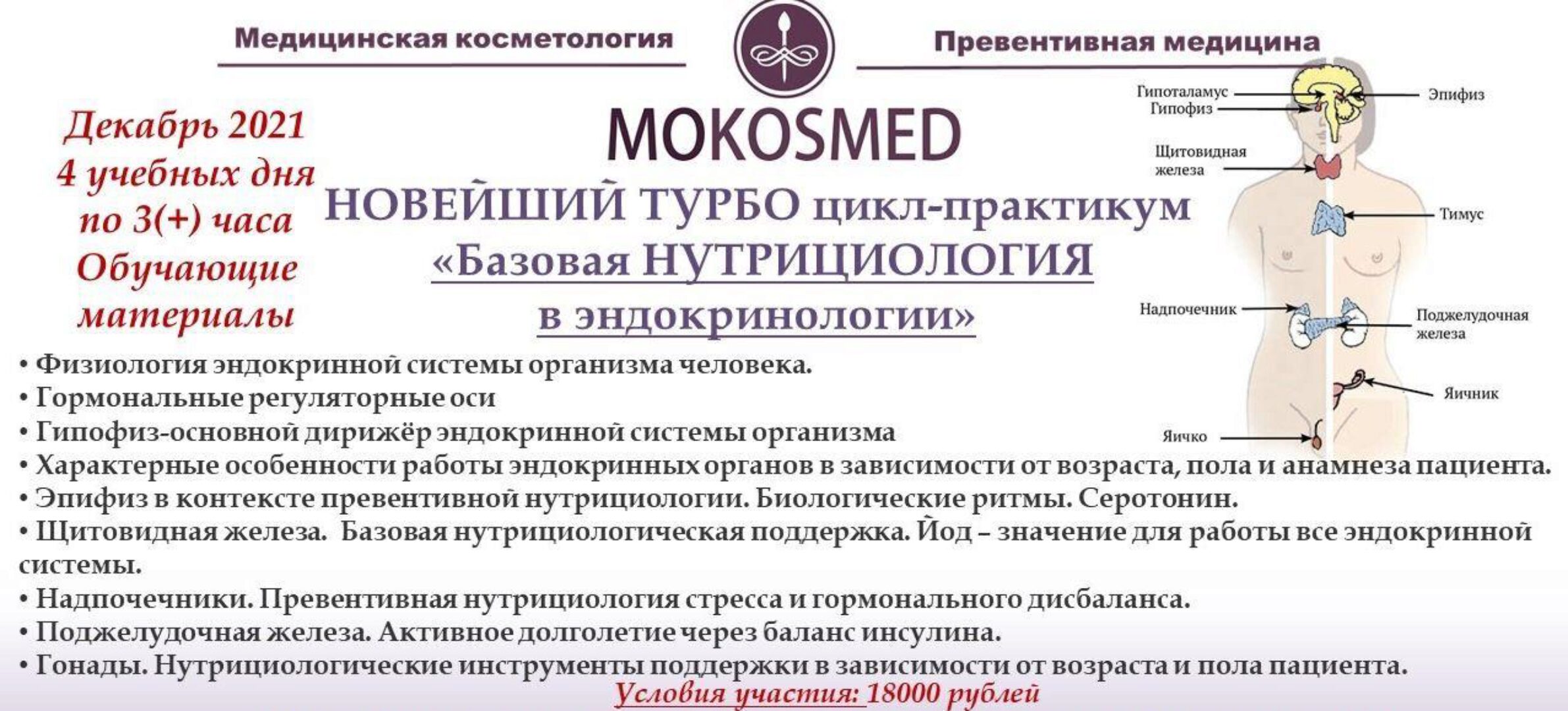[mokosmed] Новейший турбо цикл-практикум «Базовая нутрициология в эндокринологии» (Мария Моргунова)
