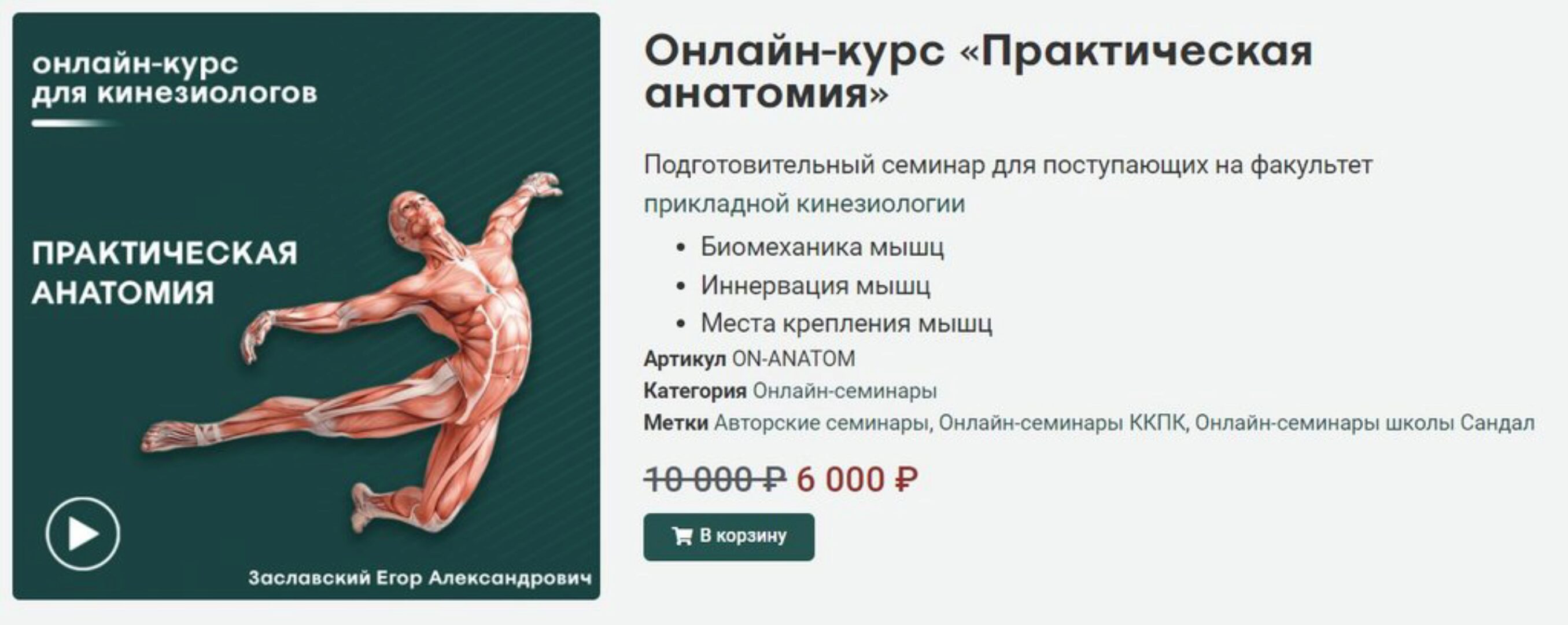 [Сандал] Практическая анатомия (Егор Заславский)