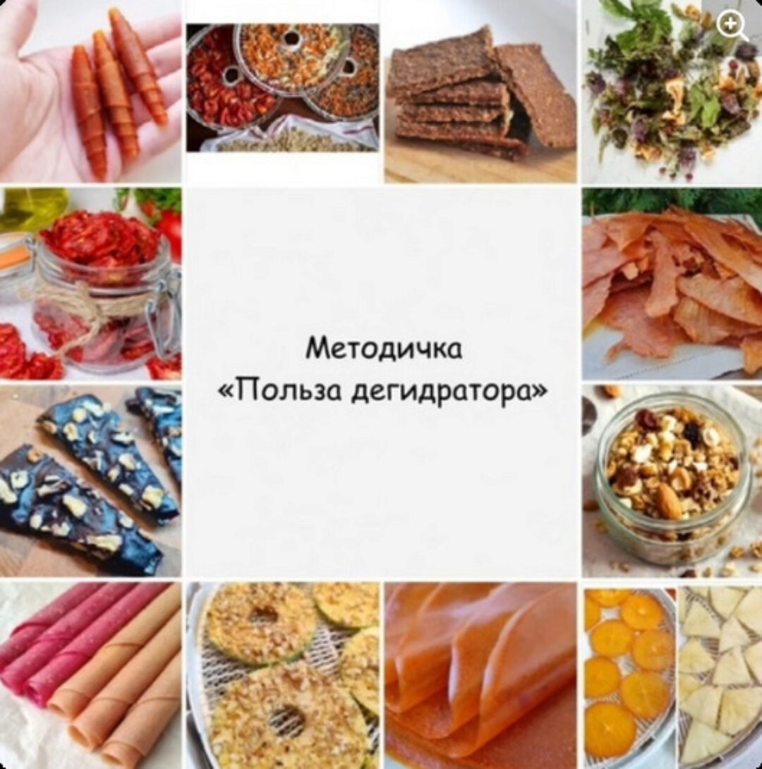 Методичка Польза дегидратора (Анастасия Пятигорская)