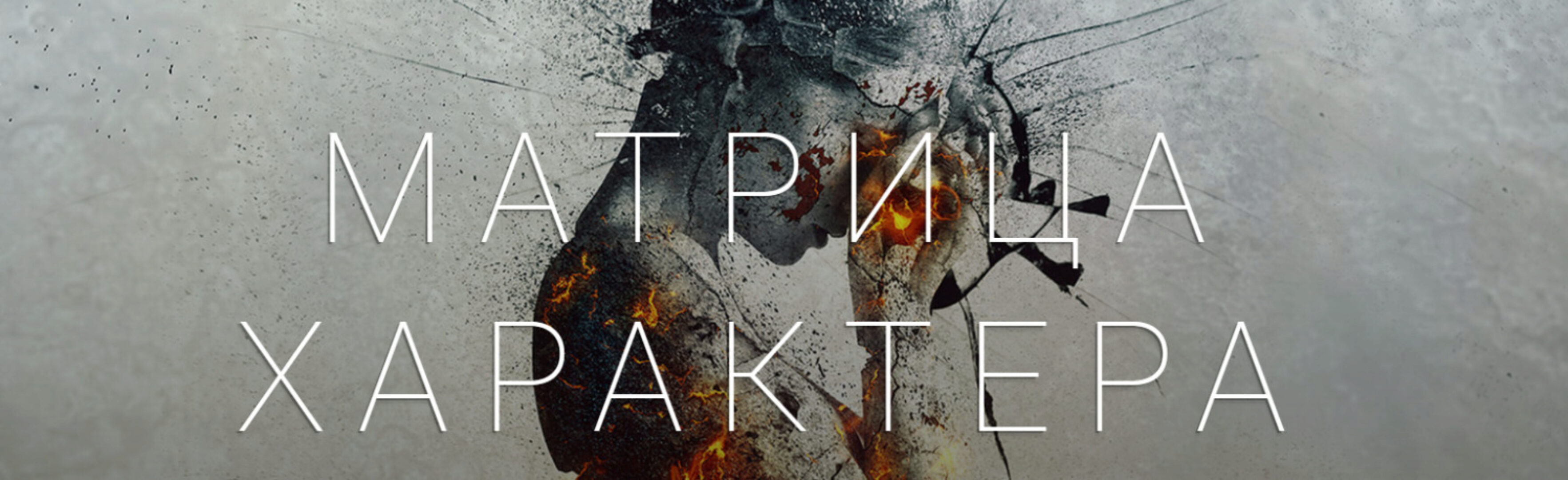 [Psy4Life] Матрица характера. Тариф Премиум (Екатерина Лим)