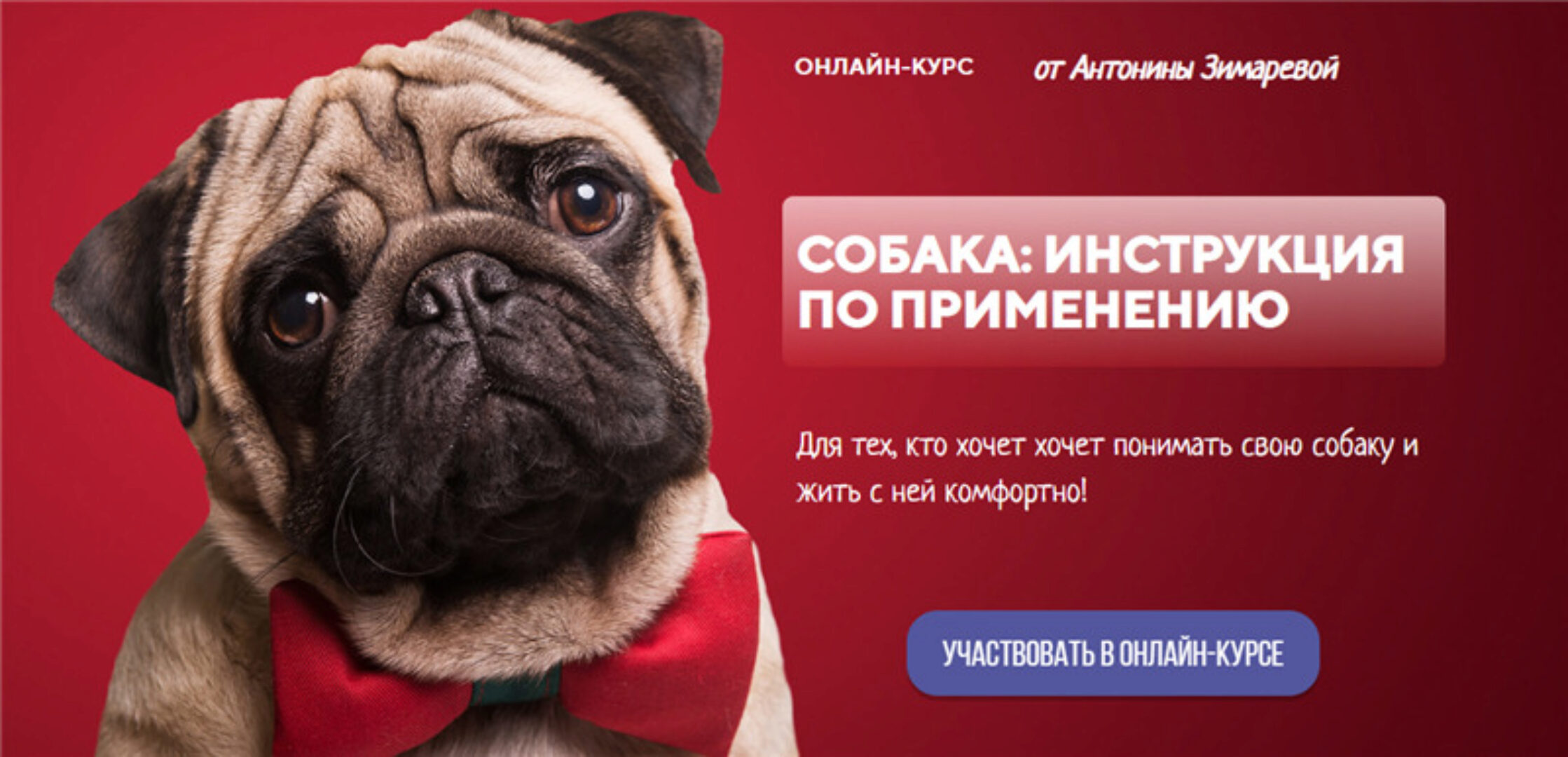 [kinologschool] Собака: инструкция по применению. Тариф - Одинокий волк (Антонина Зимарева)