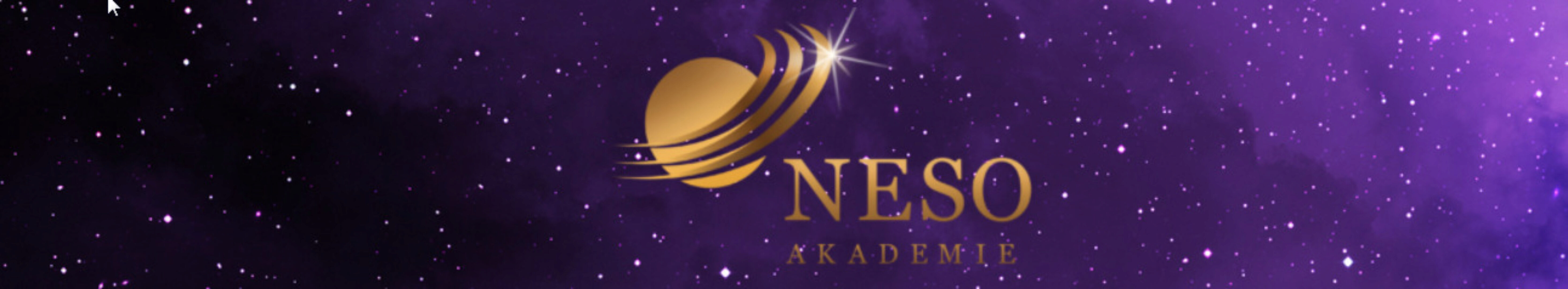 [НеСоАкадемия] Развитие сенсорики и ясновидения  (видеозапись + транскрибация)(Елена Донская)