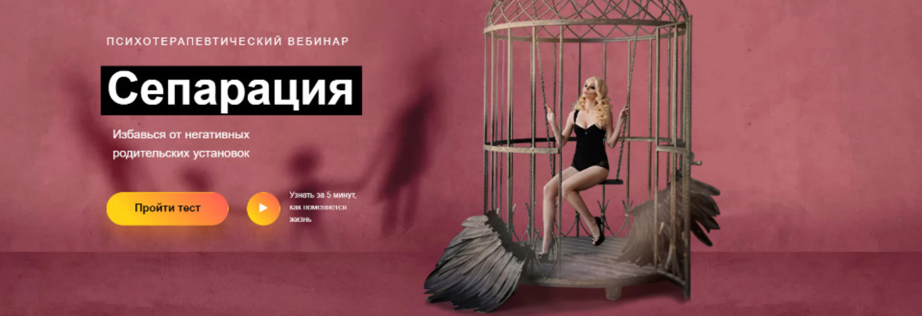 Сепарация. Как избавиться от негативных родительских установок (Александр Шахов)