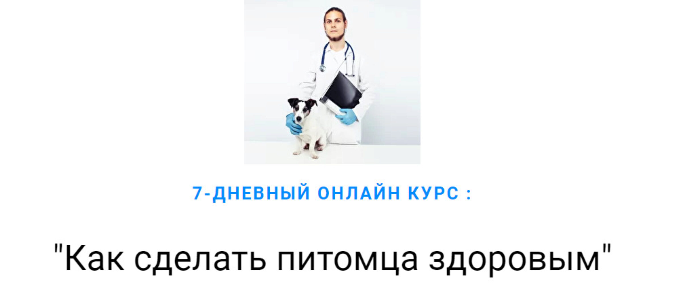 Как сделать питомца здоровым (Дмитрий Русаков)