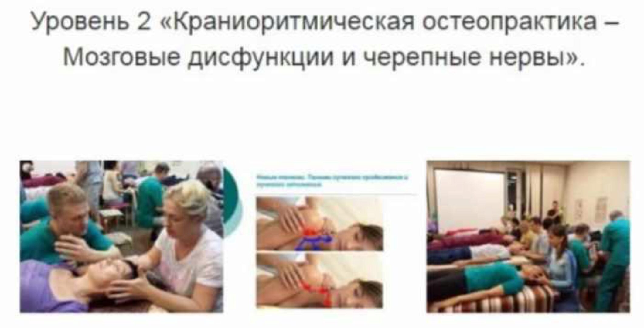 Уровень 2.Краниоритмическая остеопрактика – Мозговые дисфункции и черепные нервы (Александр Смирнов)