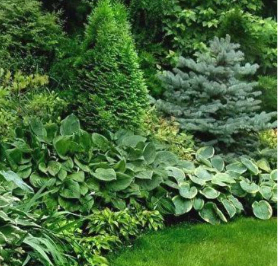 [Школа Ландшафтного Дизайна] Растительные композиции (Оксана Хлебородова)