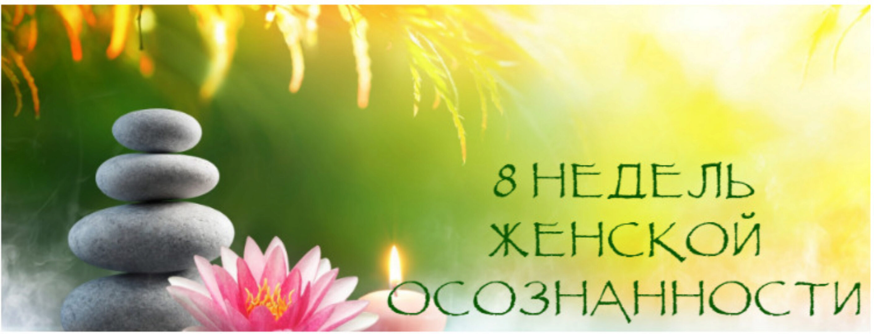 [Найтимужа] 8 недель женской осознанности (Надежда Семененко)