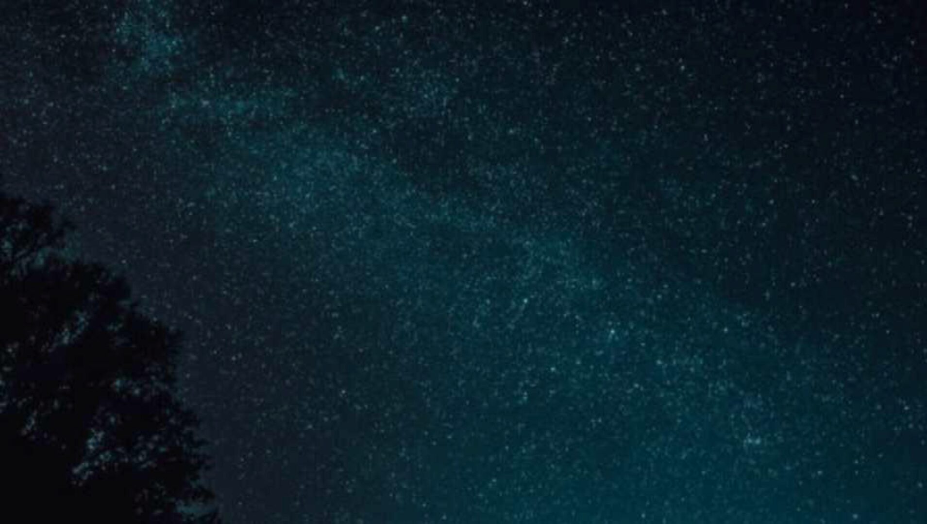 18 чит кодов на 2020 год (Анна Барышникова)