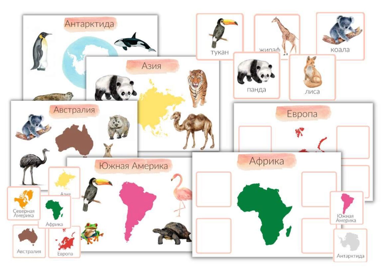 [busy-bee] Материки и животные