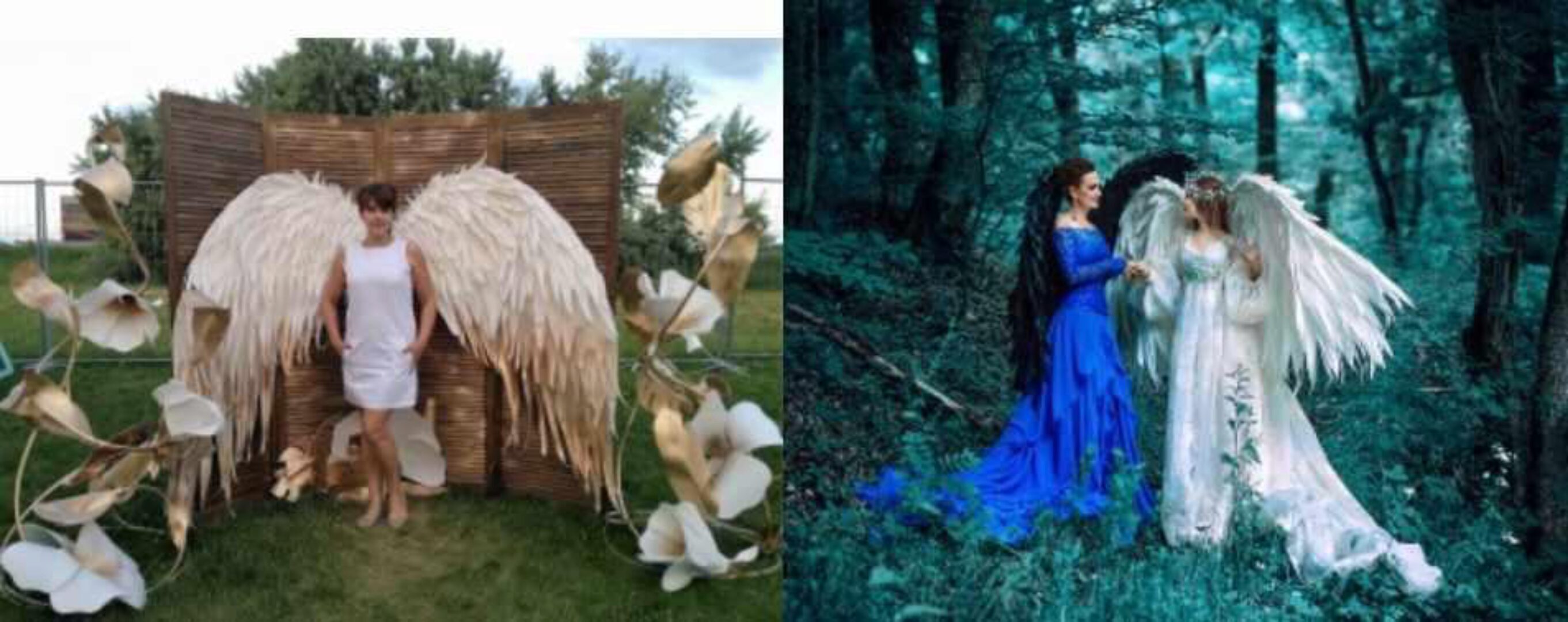 Мастер-класс «Крылья 2» (Елена Жукевич)