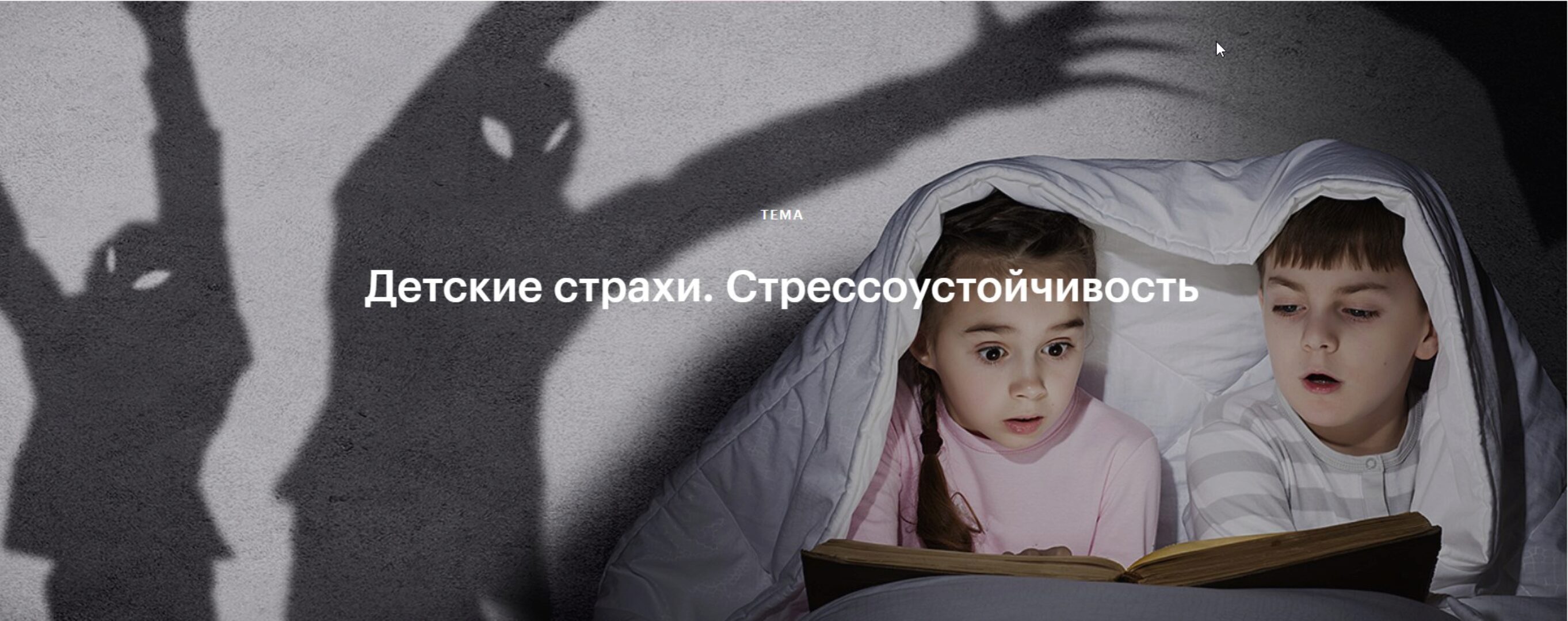 Детские страхи. Стрессоустойчивость (Валентина Паевская)