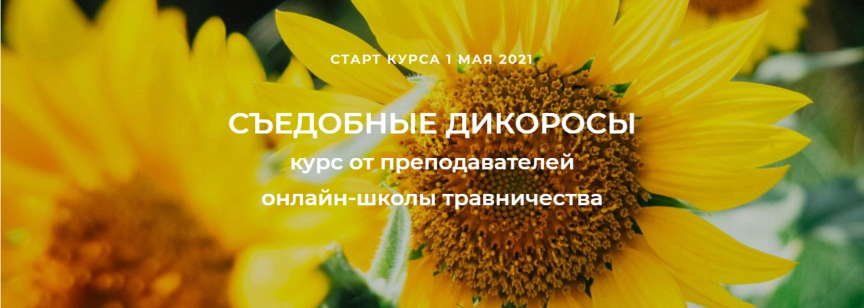 [FestTrav] Съедобные дикоросы (Наталья Замятина, Сергей Апполонов)