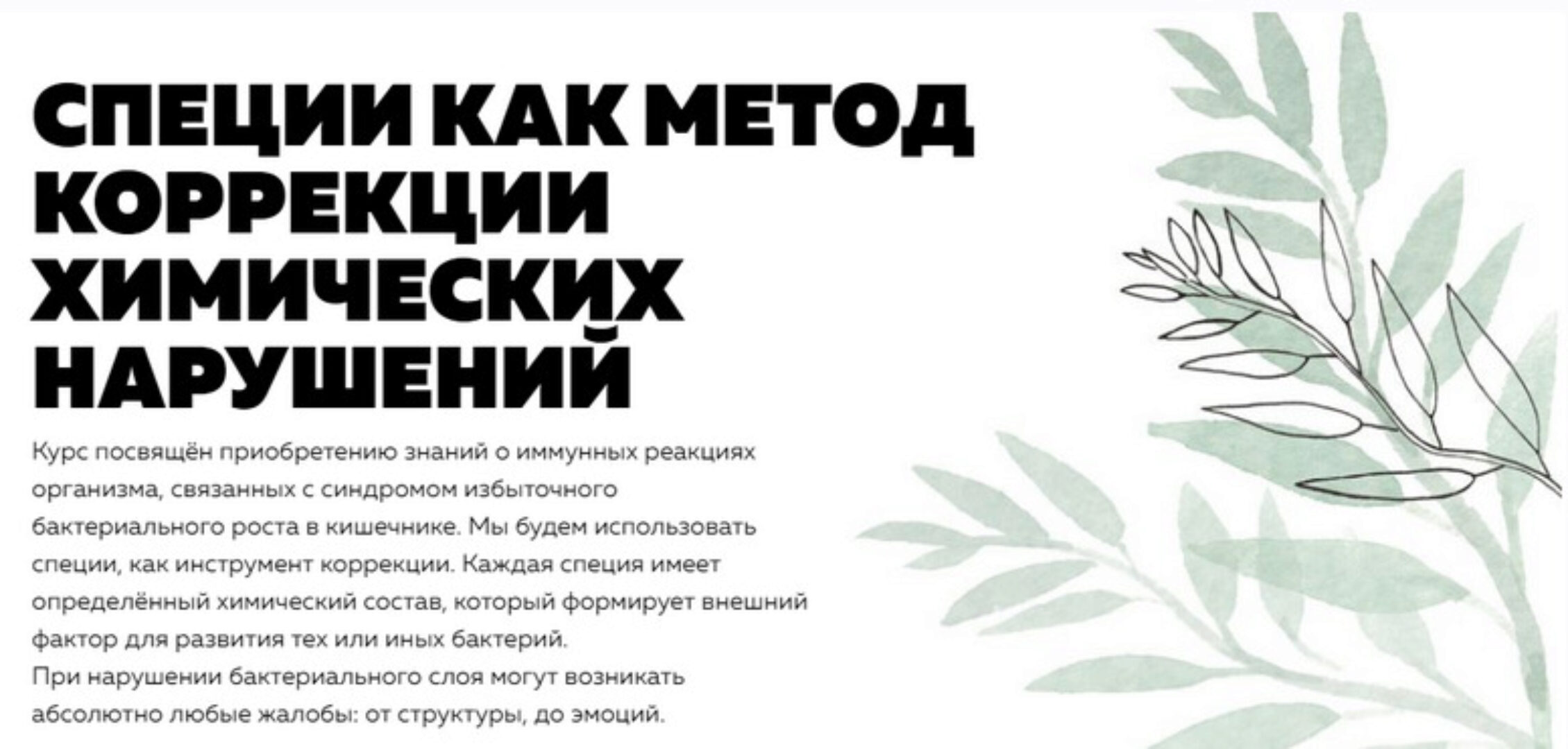 [nl-school] Специи, как метод коррекции химических нарушений  (Кирилл Копыльцов)