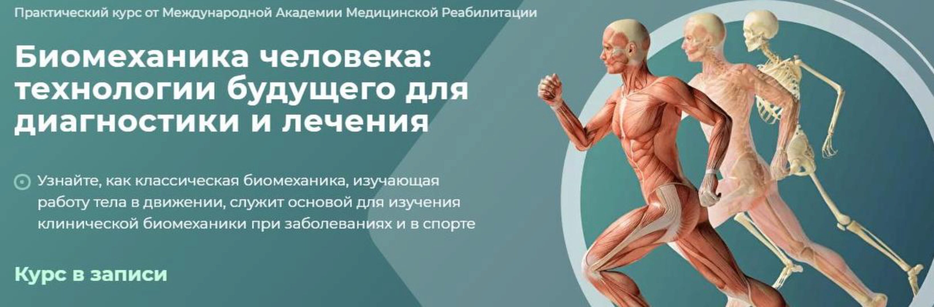 Биомеханика человека. Вебинар 3. Строение и биомеханика нижней конечности (Алина Войцеховска)