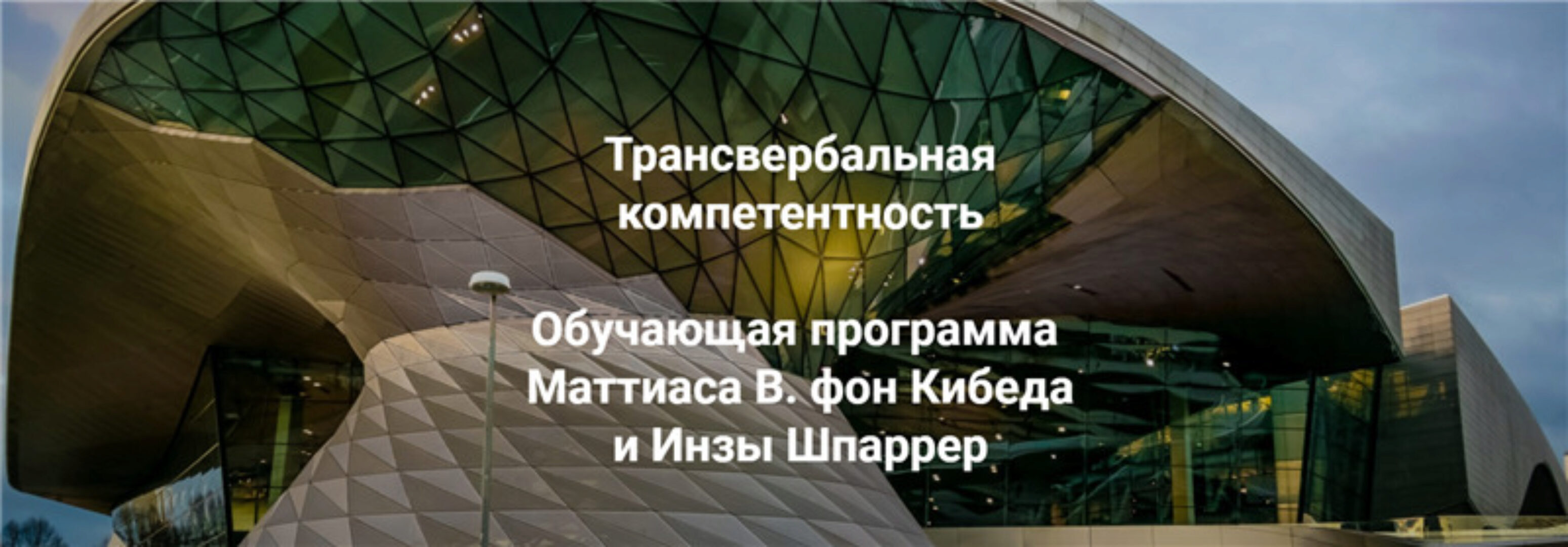 Трансвербальная компетентность. Модуль 1-2 (Маттиас Варга фон Кибед, Инза Шпаррер)